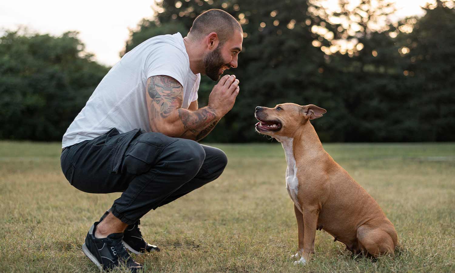 Vitamine E: de krachtige antioxidant voor huid, hart en gezondheid